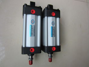 廣東可信賴(lài)的10b 5氣缸及磁偶?xì)飧坠?yīng)商推薦